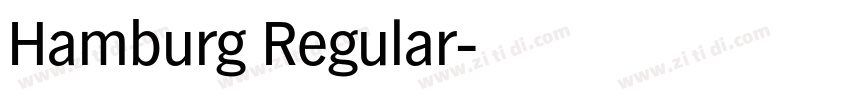 Hamburg Regular字体转换